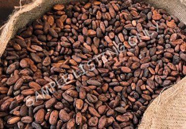 Comoros Cocoa Beans