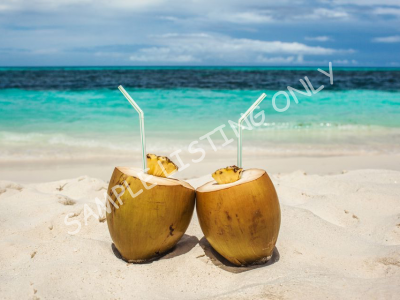 Fresh Comoros Coconut